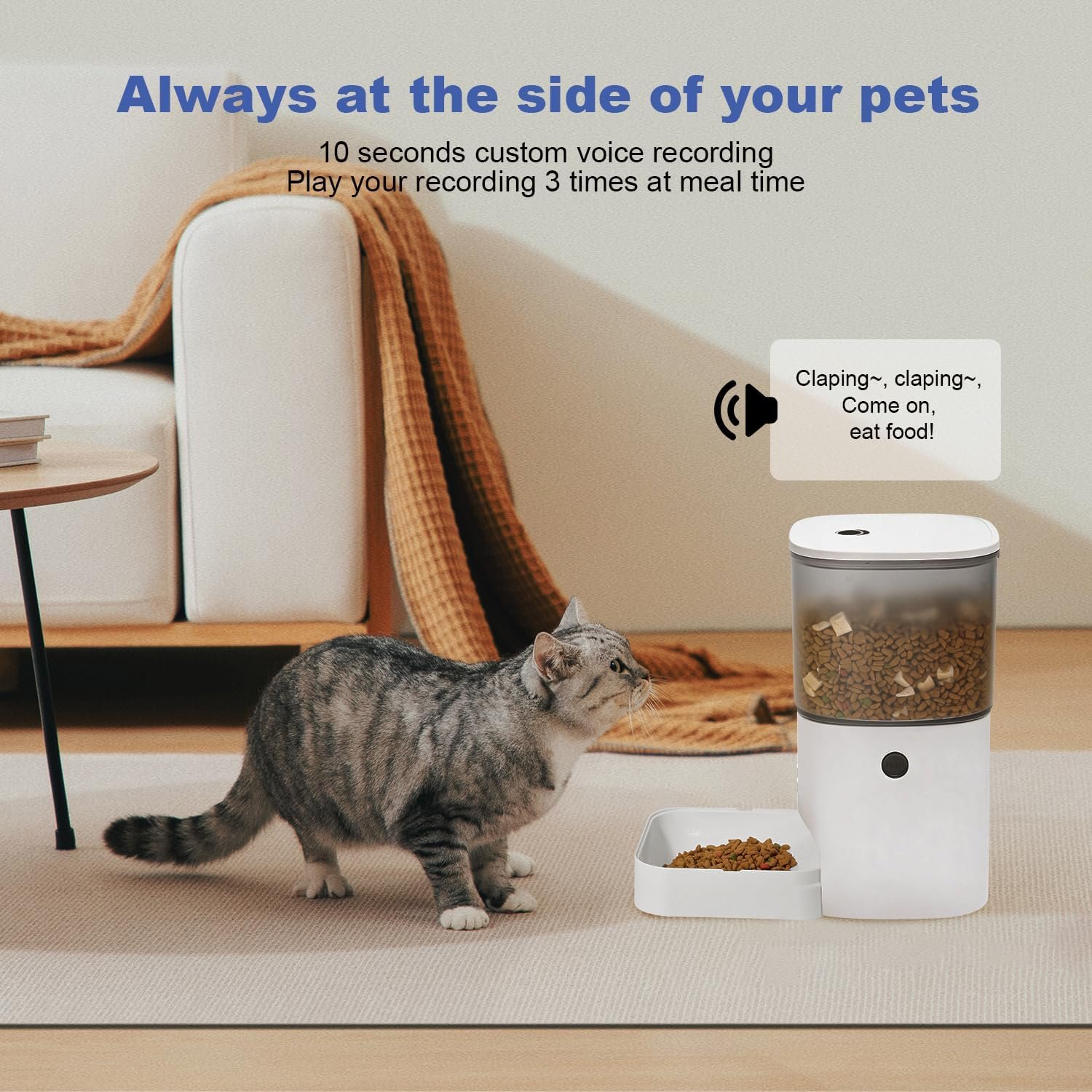 ANDOLL HOME Automatic Cat Feeder 4L with Voice Recording - detail view 3