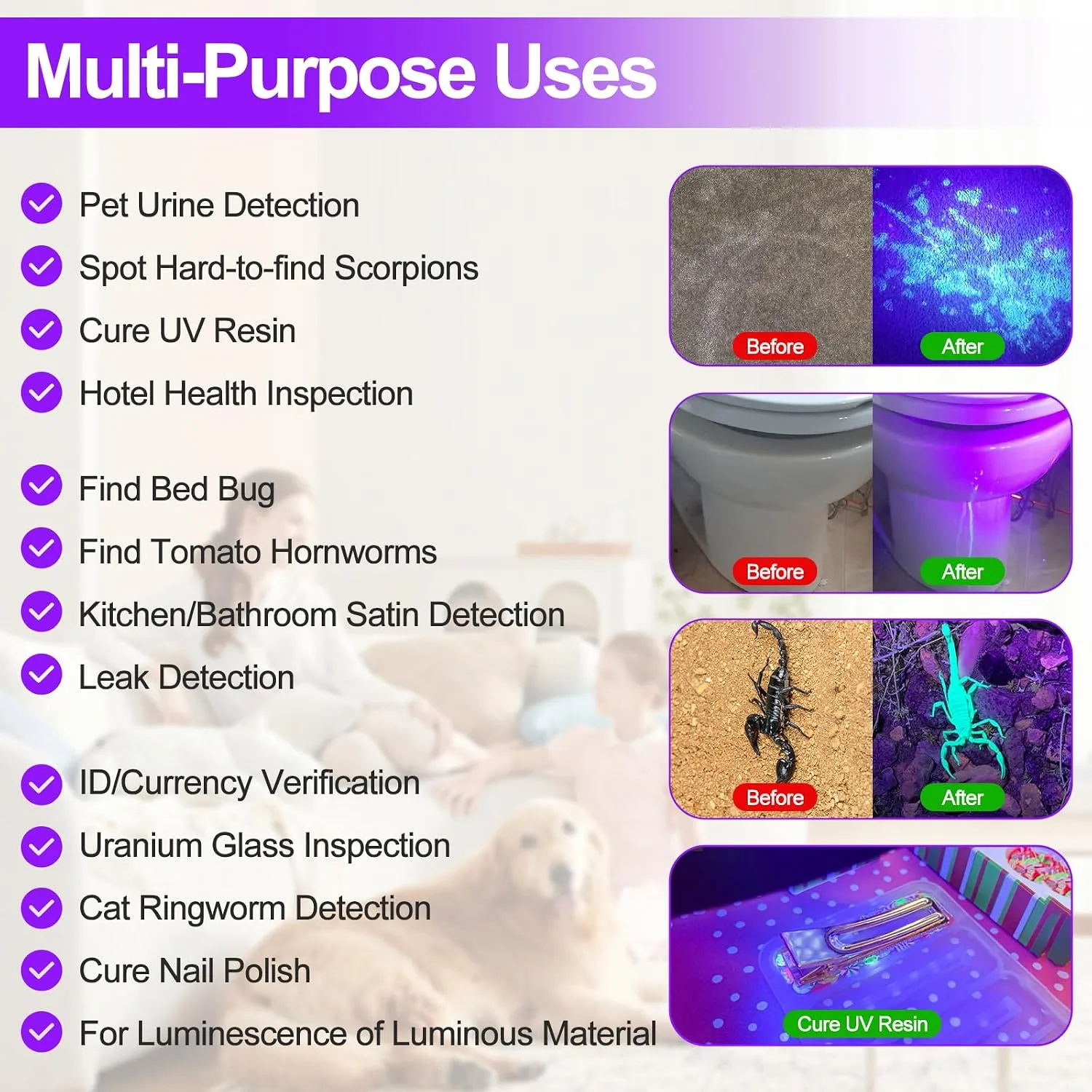 Vansky 395nm UV Flashlight - Pet Urine Detection - detail view 2