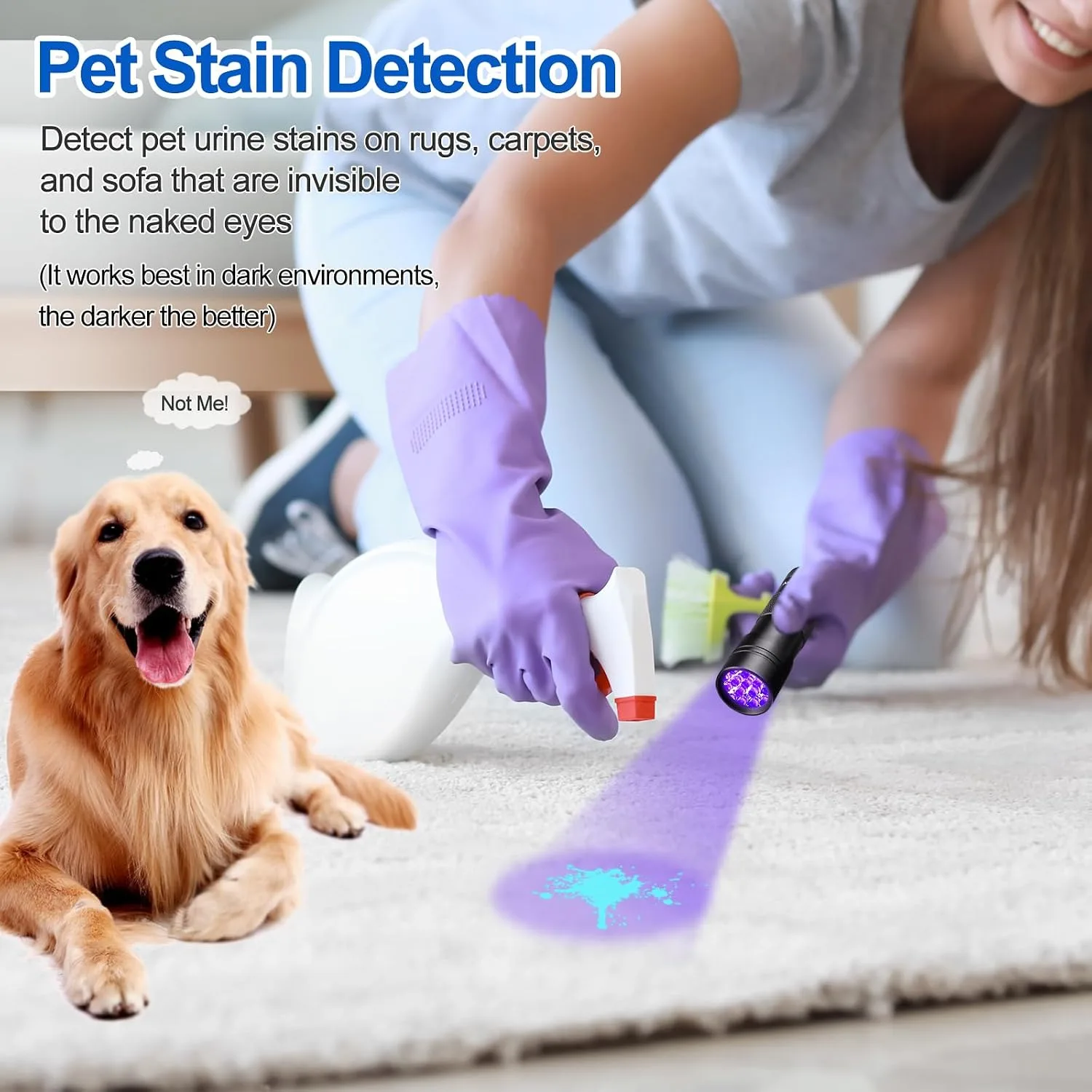 Vansky 395nm UV Flashlight - Pet Urine Detection - detail view 3