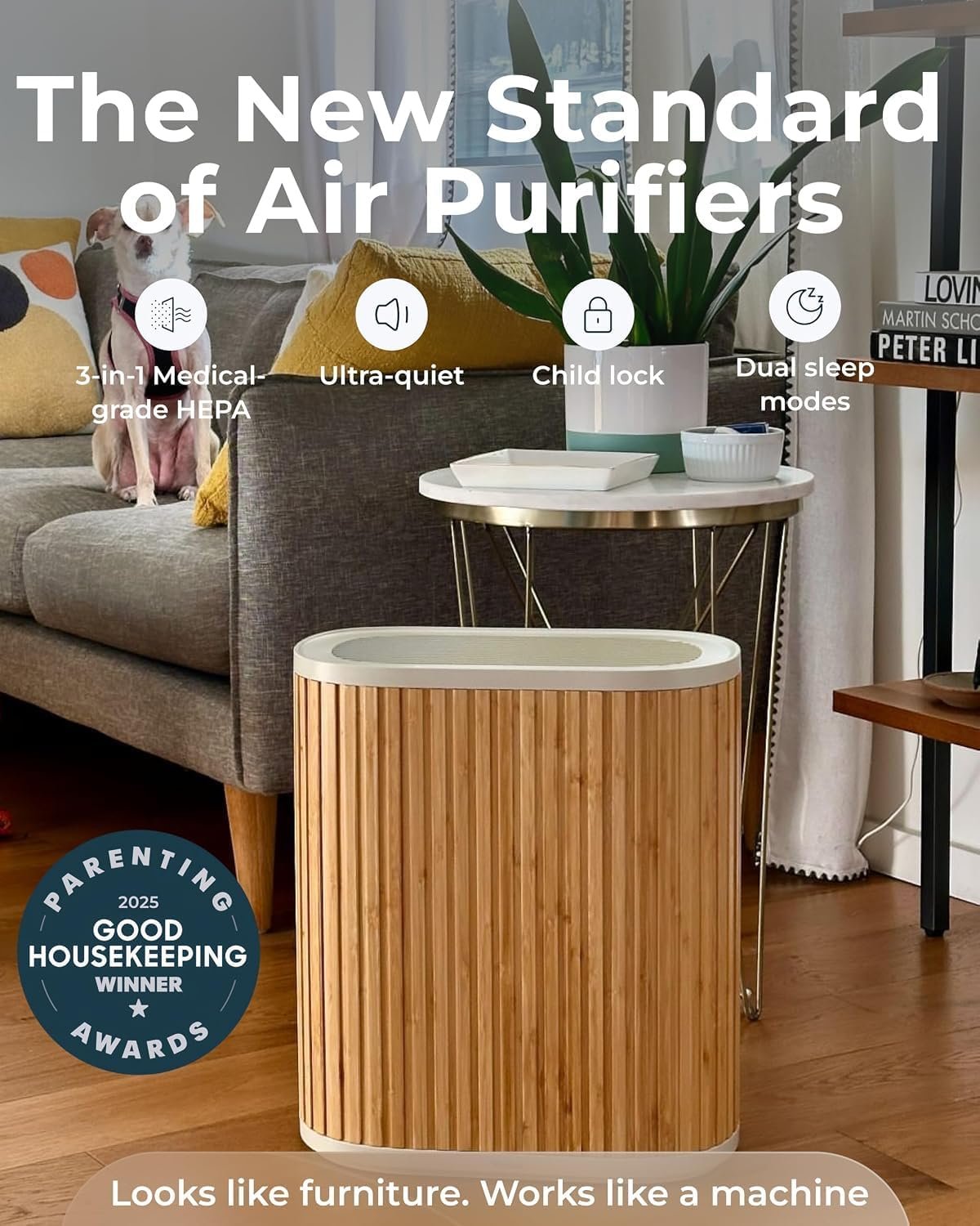 Windmill Air Purifier Max for Home, 3-In-1 Filters for Dust, Smoke, & Pets - detail view 1